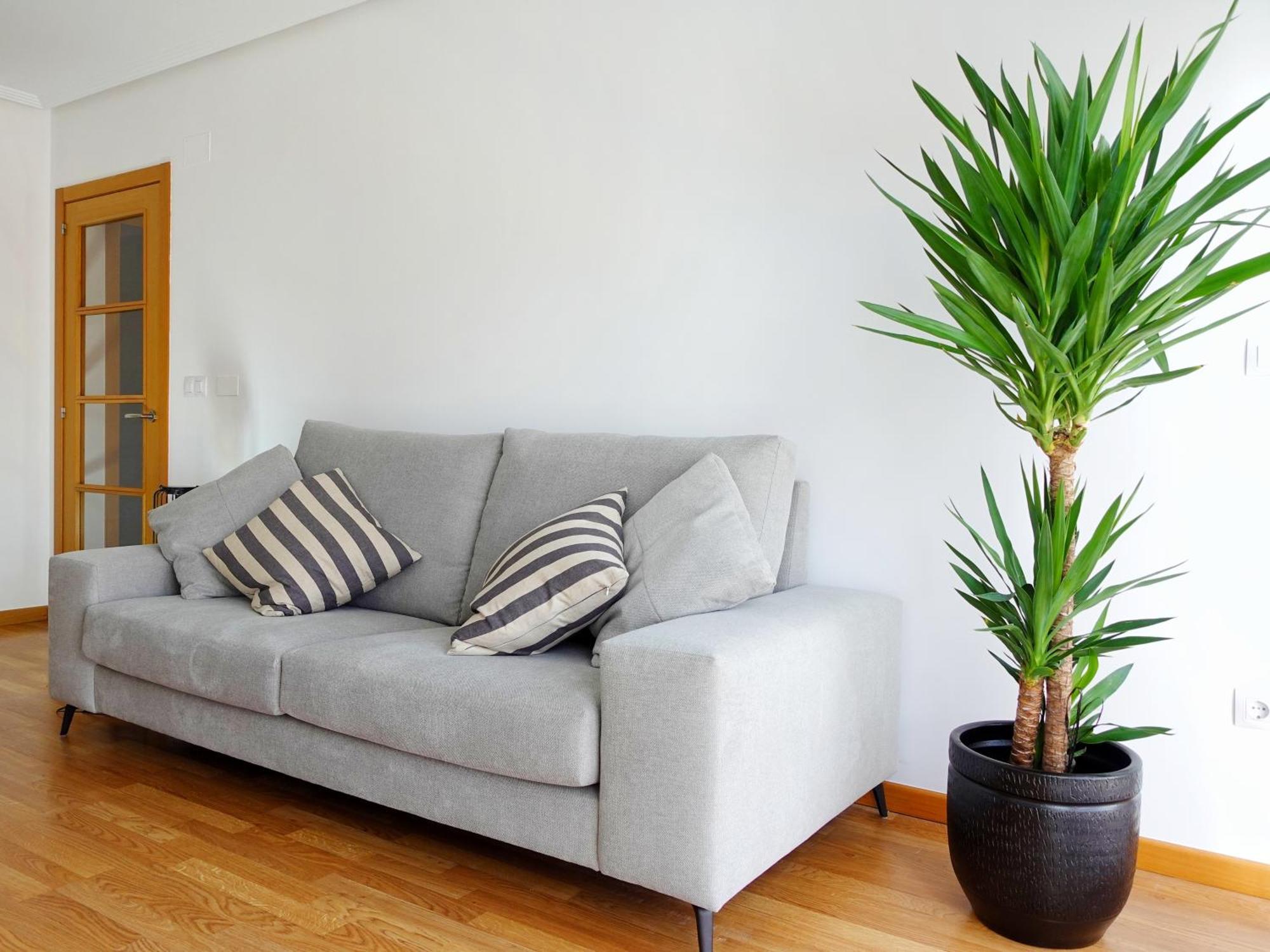 Atalaia Apartment Foz Exteriér fotografie